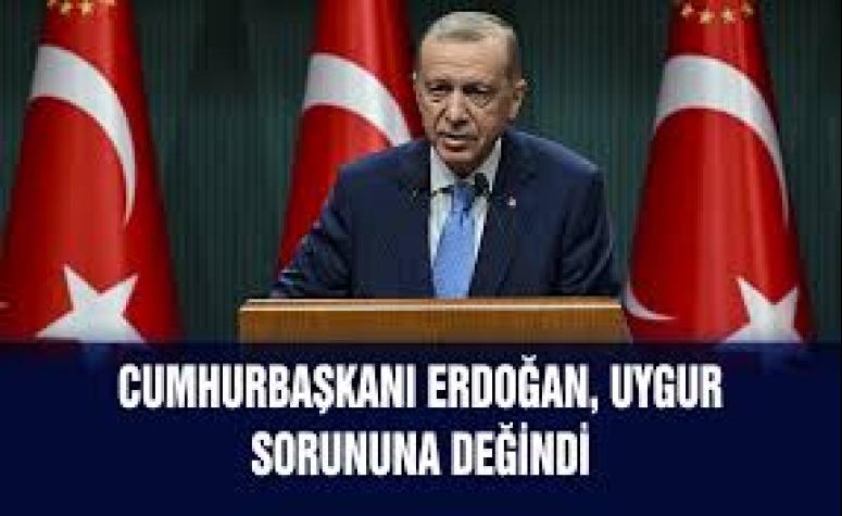 3 milyon Uygur, Türkiye